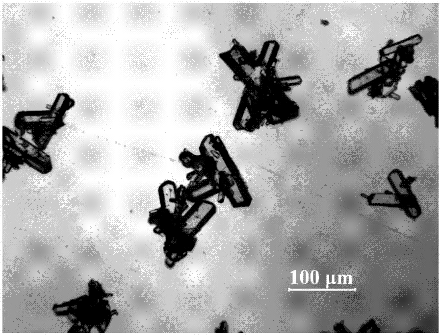 Crystal of aldactone and preparation method thereof