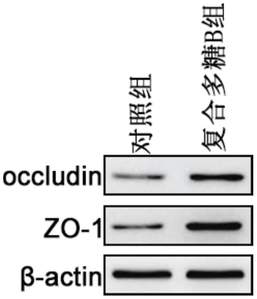 Biological agent for reducing piglet diarrhea