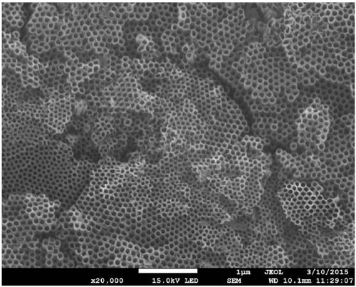 Drug-loaded structure of titanium metal surface pH controlled-release drug and preparation method of drug-loaded structure