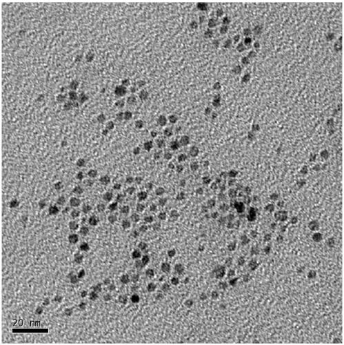 Drug-loaded structure of titanium metal surface pH controlled-release drug and preparation method of drug-loaded structure