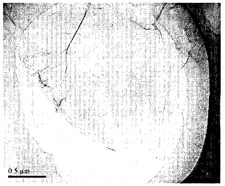 Preparation method of single-layer graphene