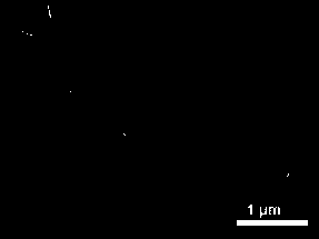 A kind of preparation method of two-dimensional nanometer titanium disulfide and thin film electrode thereof