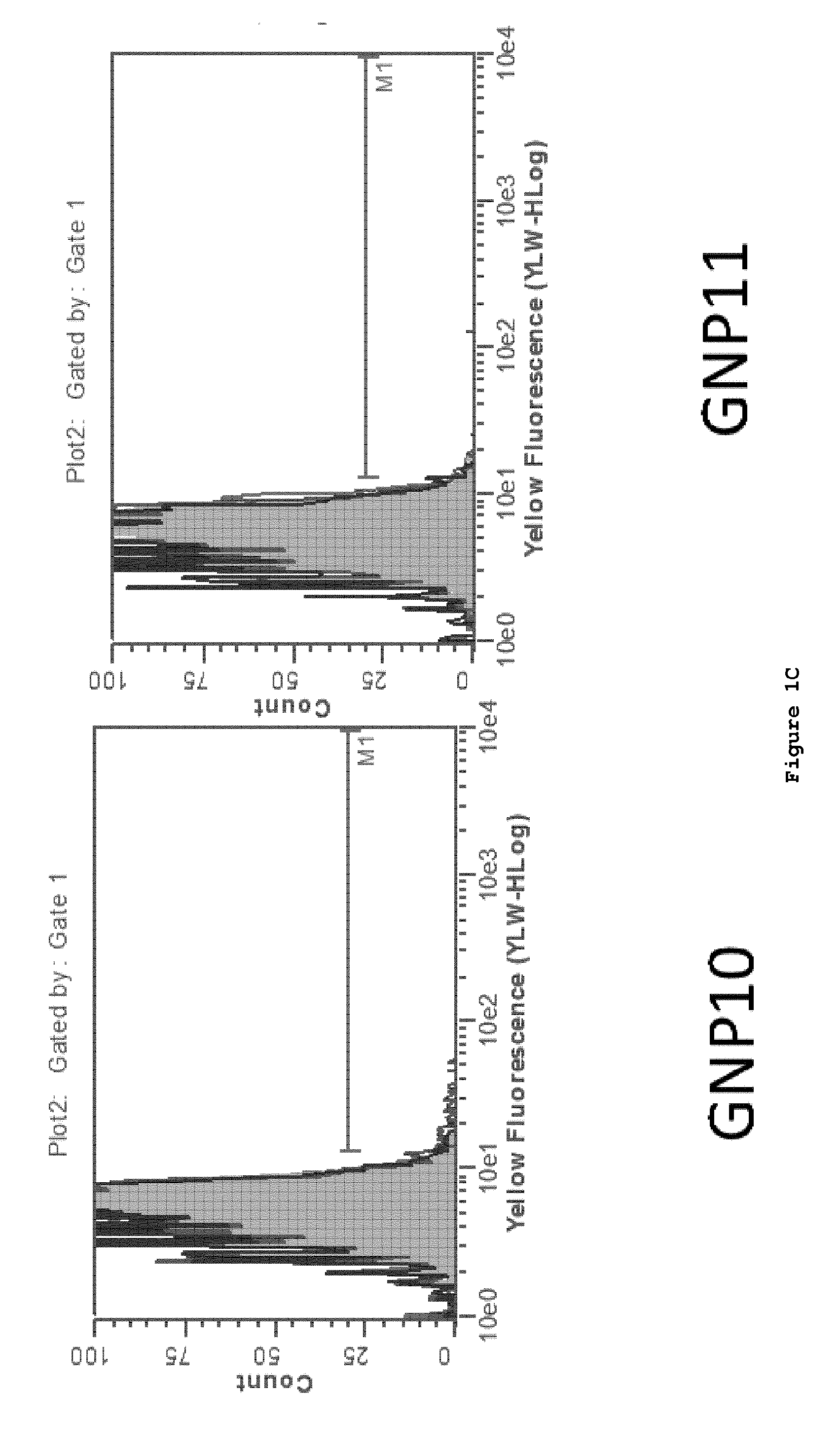 Nanoparticle tumour vaccines