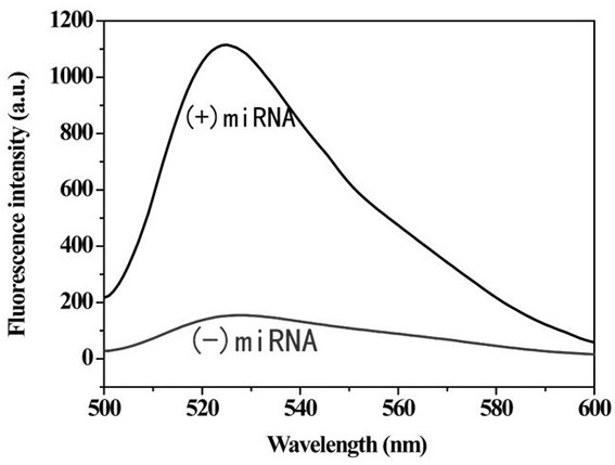 A method for detecting tumor biomarkers using palindromic lock probes