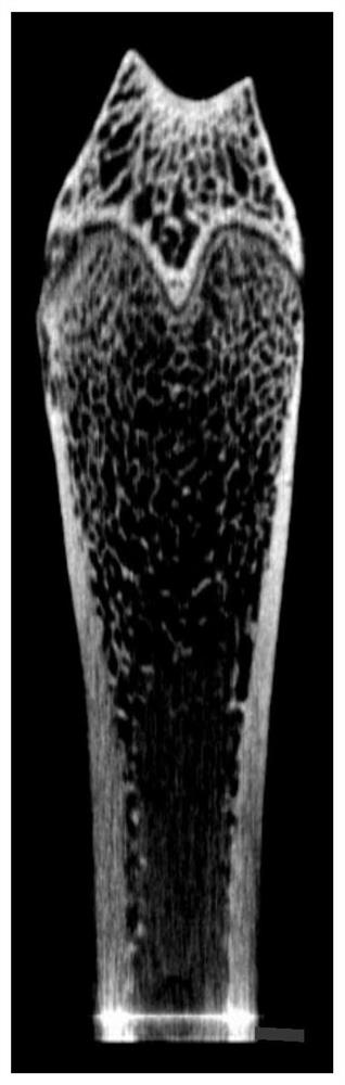 Herba lycopi extract as well as preparation method and application thereof