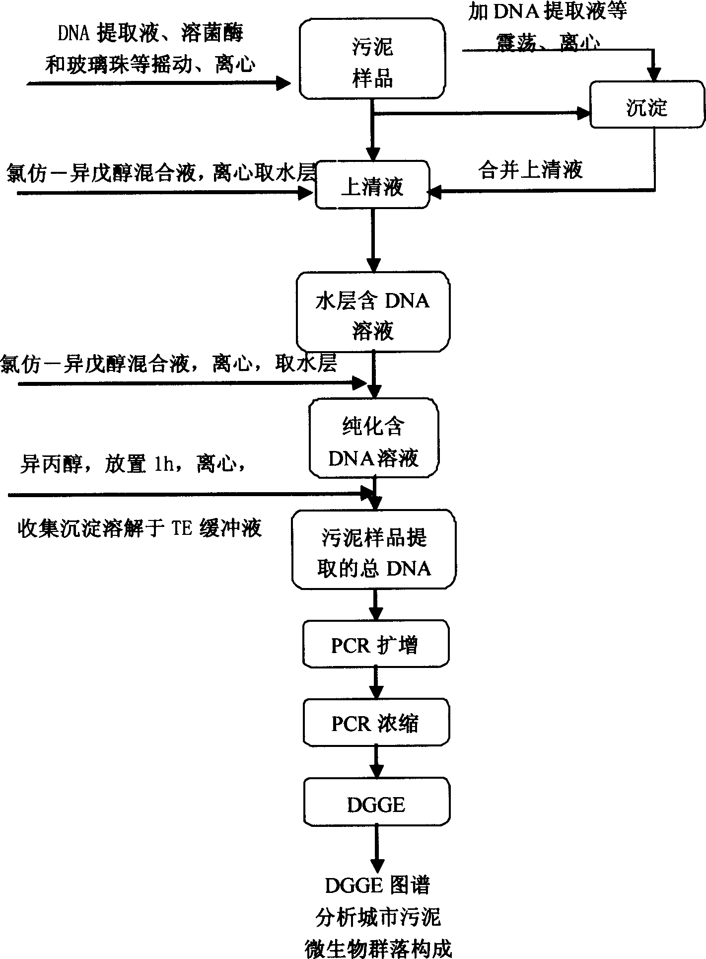 Method for analyzing sludge microbiological community configuration in urban sewage plant