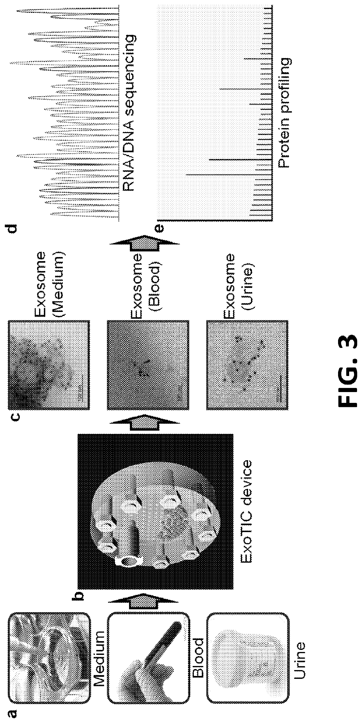 Exosome-Total-Isolation-Chip (ExoTIC) device for isolation of exosome-based biomarkers