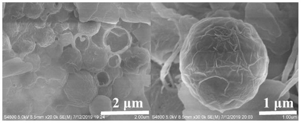 A kind of hydrophobic slurry and its preparation method and application