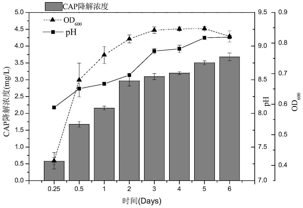 Citrobacter vinegaticus and application thereof in chloramphenicol removal and phosphorus and potassium dissolving