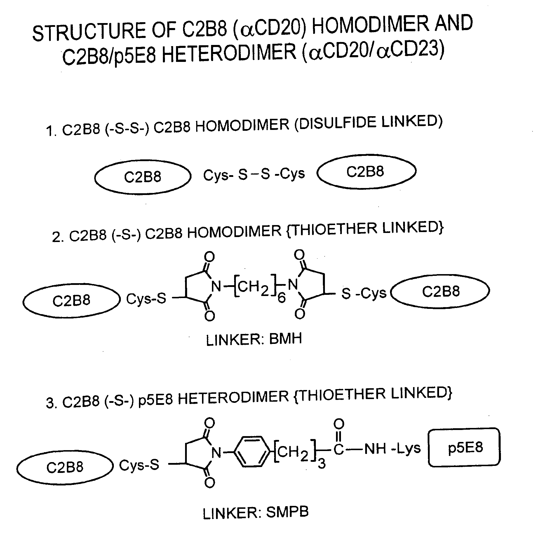 Production of tetravalent antibodies