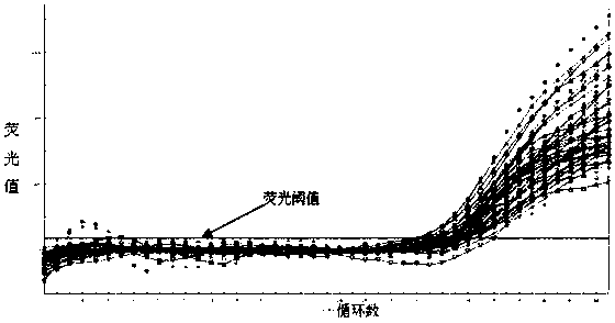 Hepatitis c virus genotype detection kit