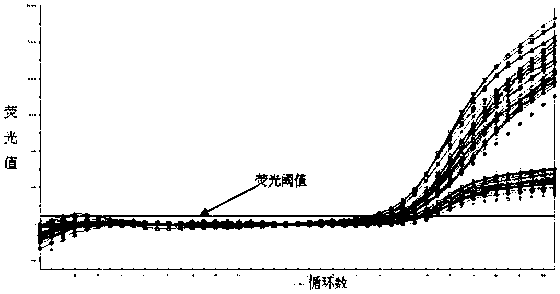 Hepatitis c virus genotype detection kit