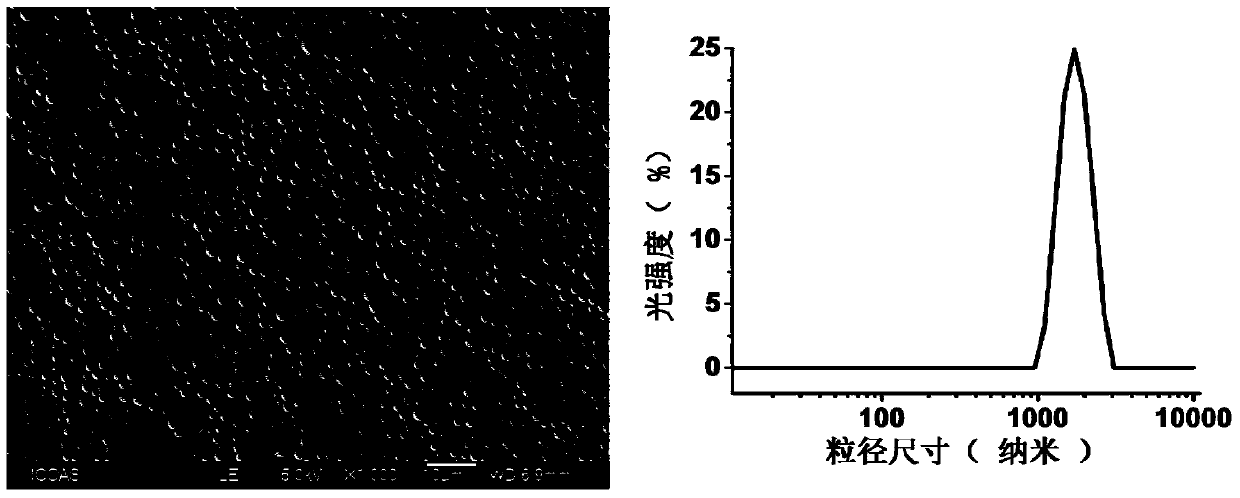 Micro-capsule ultrasonic contrast agent and preparation method thereof