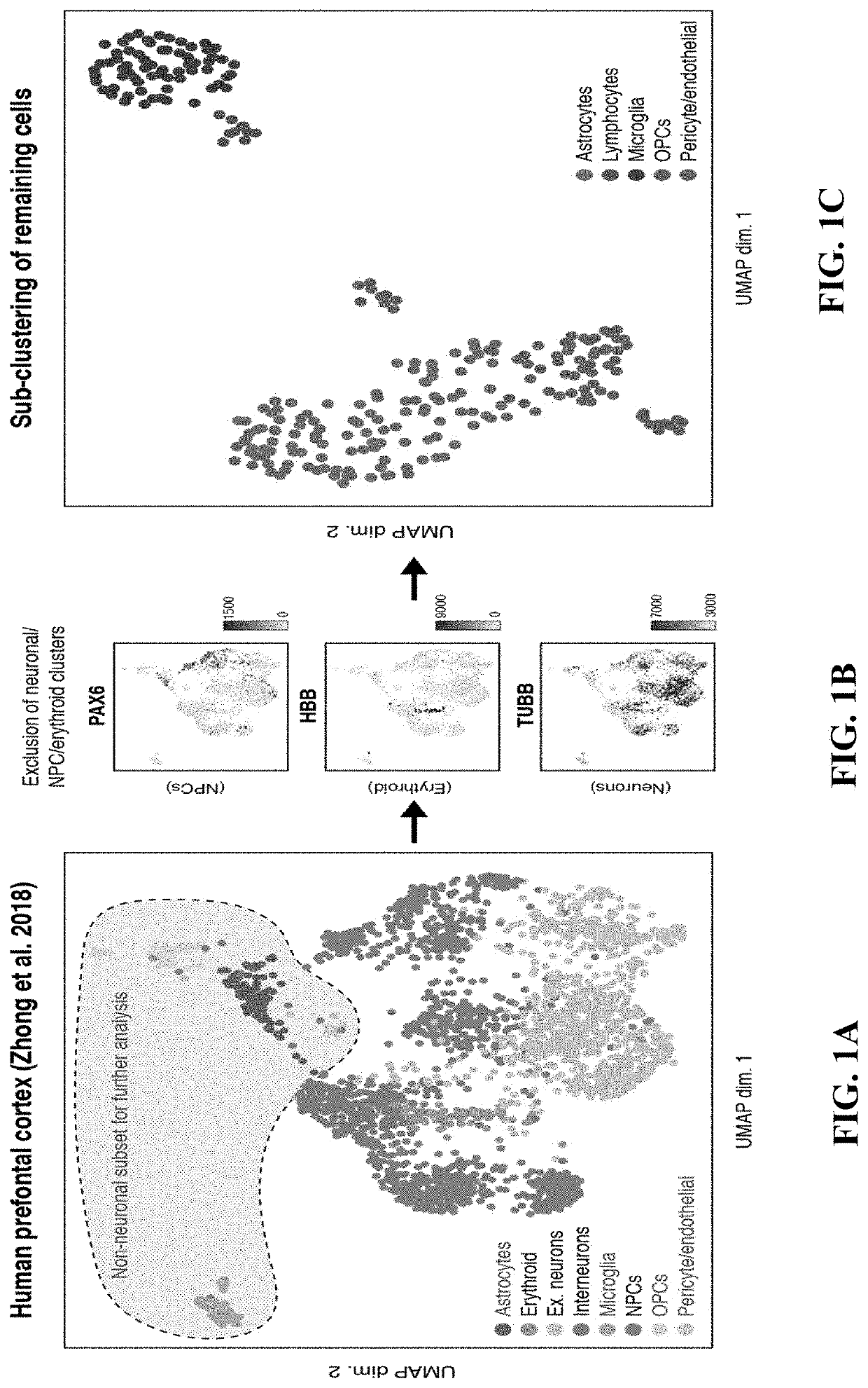 Use of inhibitory chimeric receptors to prevent t cell-induced blood brain barrier damage