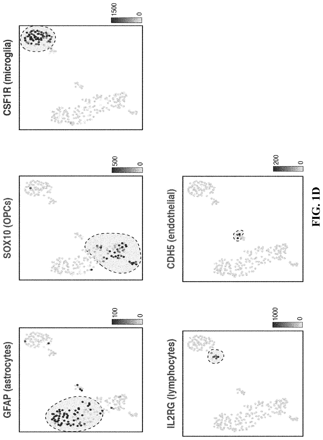 Use of inhibitory chimeric receptors to prevent t cell-induced blood brain barrier damage