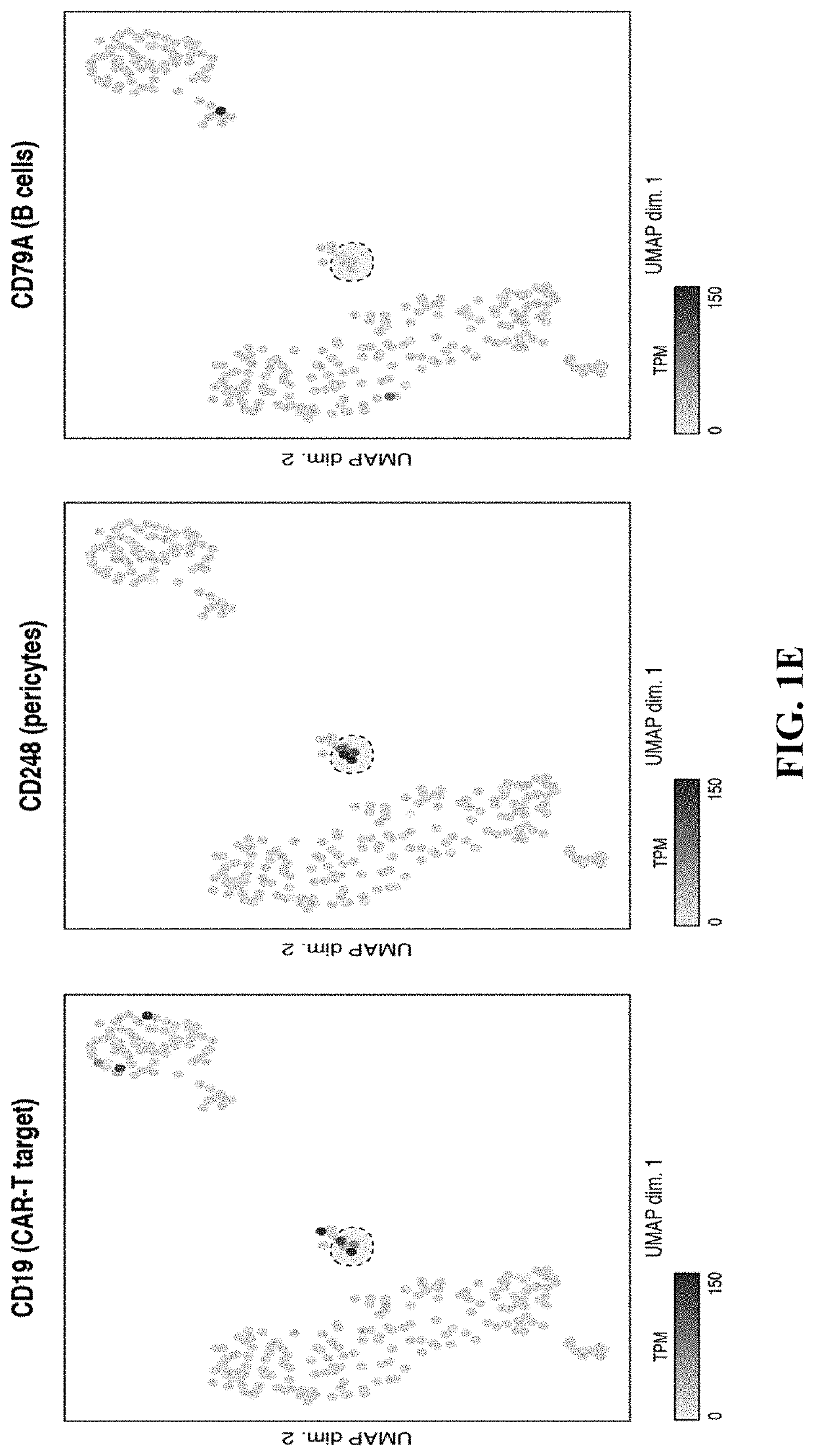 Use of inhibitory chimeric receptors to prevent t cell-induced blood brain barrier damage