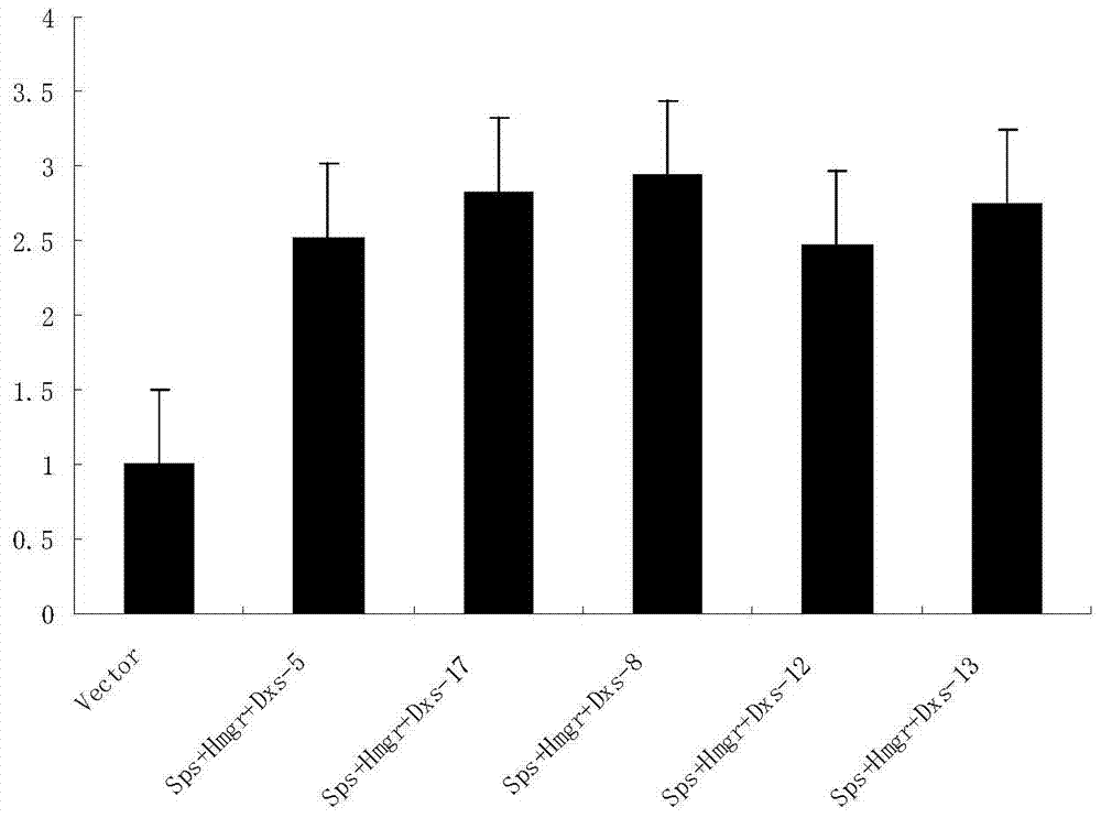 Method for co-transforming sps, hmgr and dxs genes to cultivate Artemisia annua with high artemisinin content in flower buds