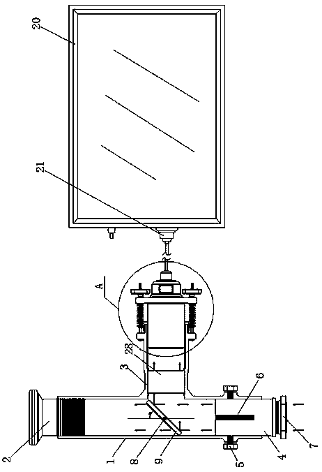 Visual viewer with dual optical paths