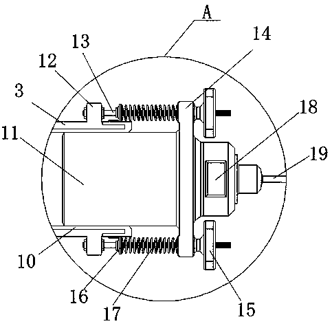 Visual viewer with dual optical paths