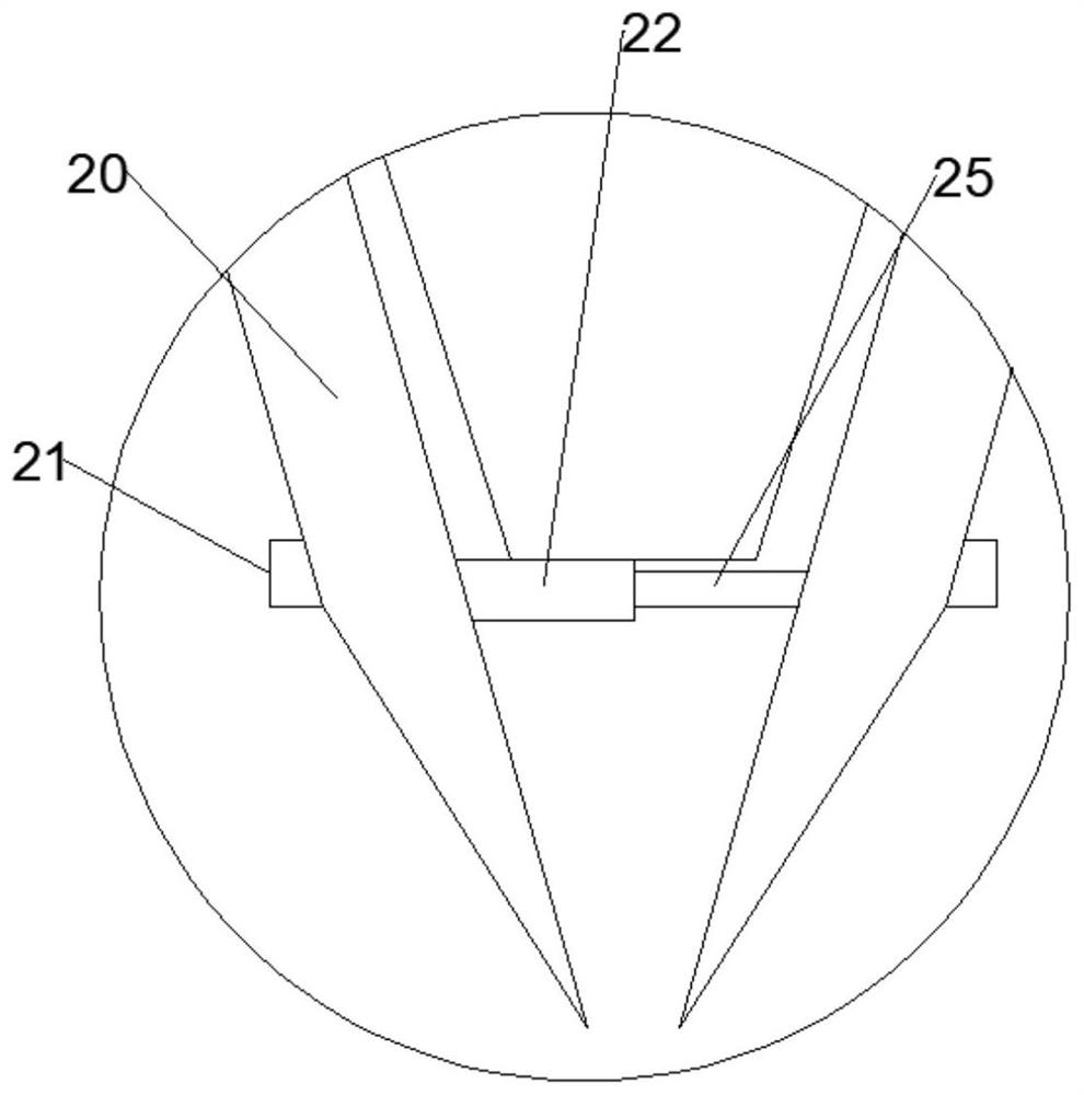 Agricultural rice transplanting device