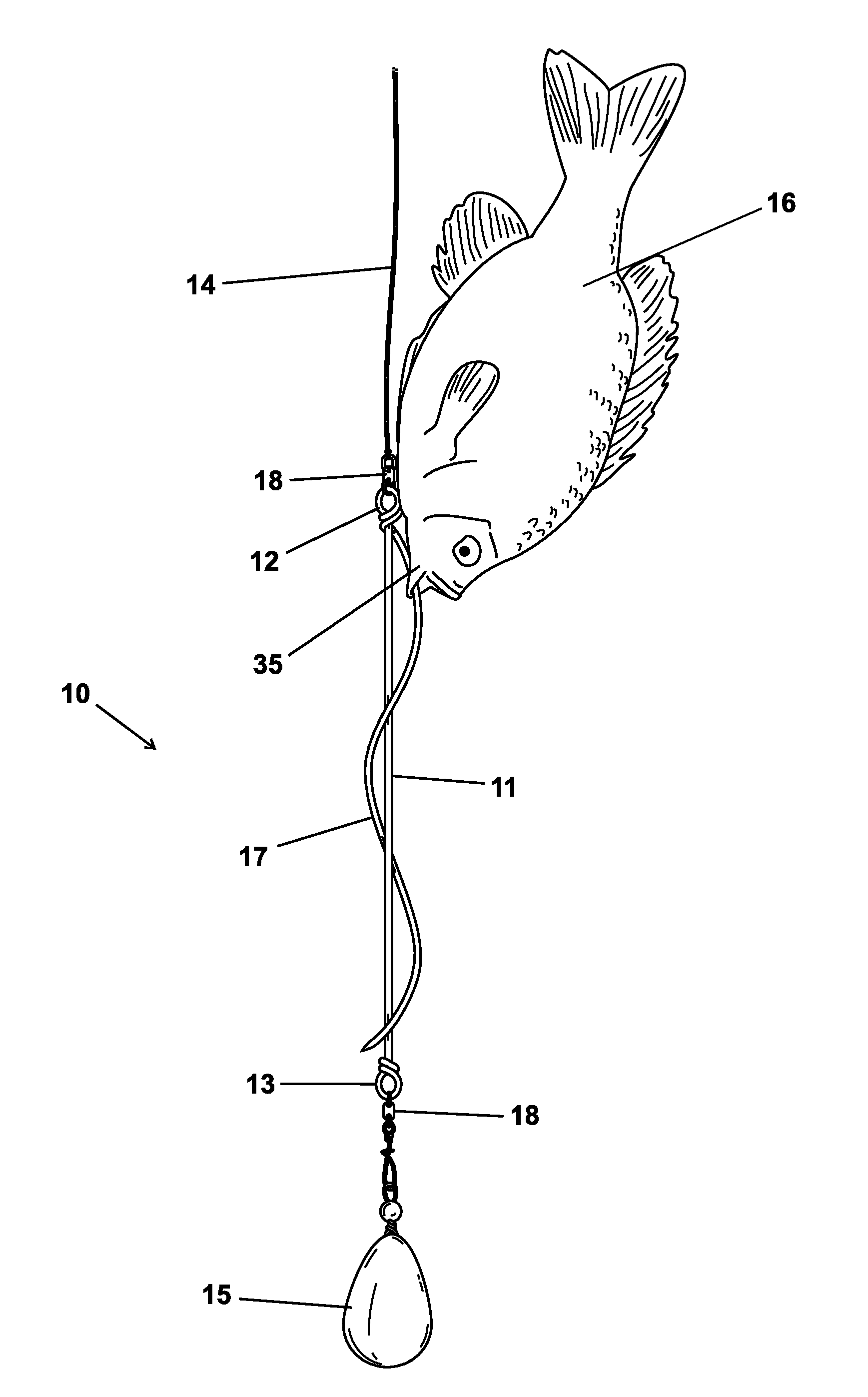 Deepwater fish release device