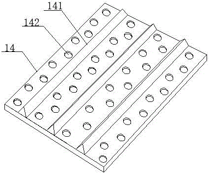 Lotus root washing device