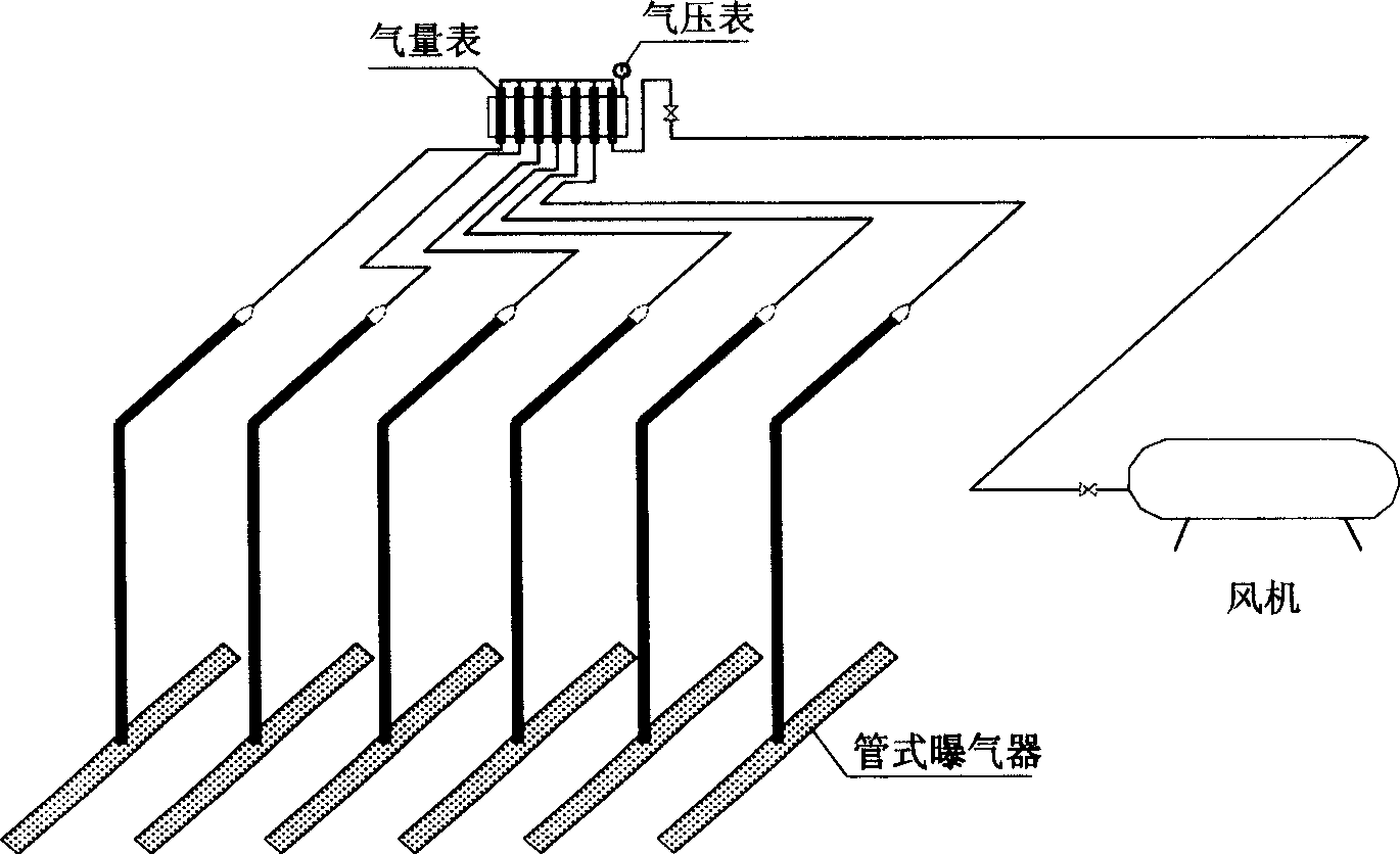 Plug flow type bioleaching process and apparatus for sludge treatment