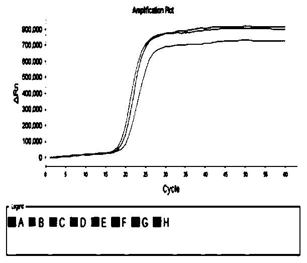 LAMP primer combination, detection method and kit capable of distinguishing porcine circovirus type 2 and type 3 typing detection