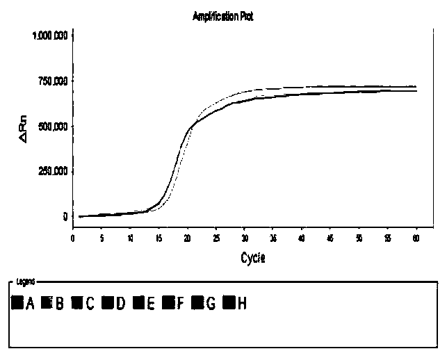 LAMP primer combination, detection method and kit capable of distinguishing porcine circovirus type 2 and type 3 typing detection