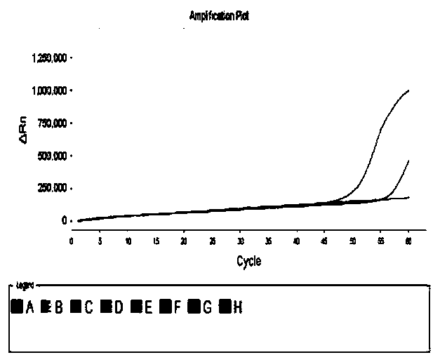 LAMP primer combination, detection method and kit capable of distinguishing porcine circovirus type 2 and type 3 typing detection