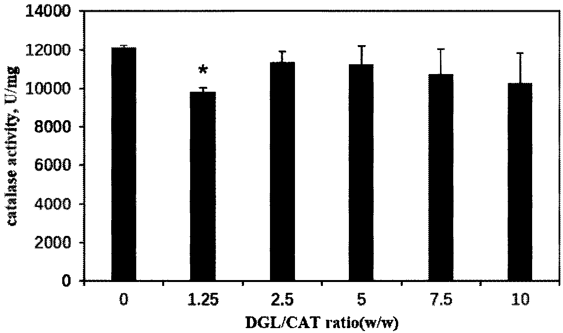 Nano preparation for improving stability of enzyme drugs and preparation method and application of nano preparation