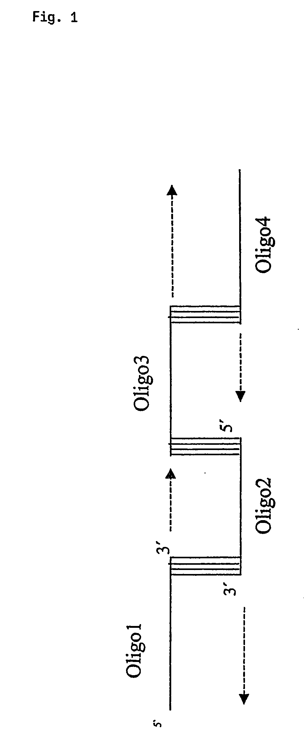 Fusion protein of hiv regulatory/accessory proteins