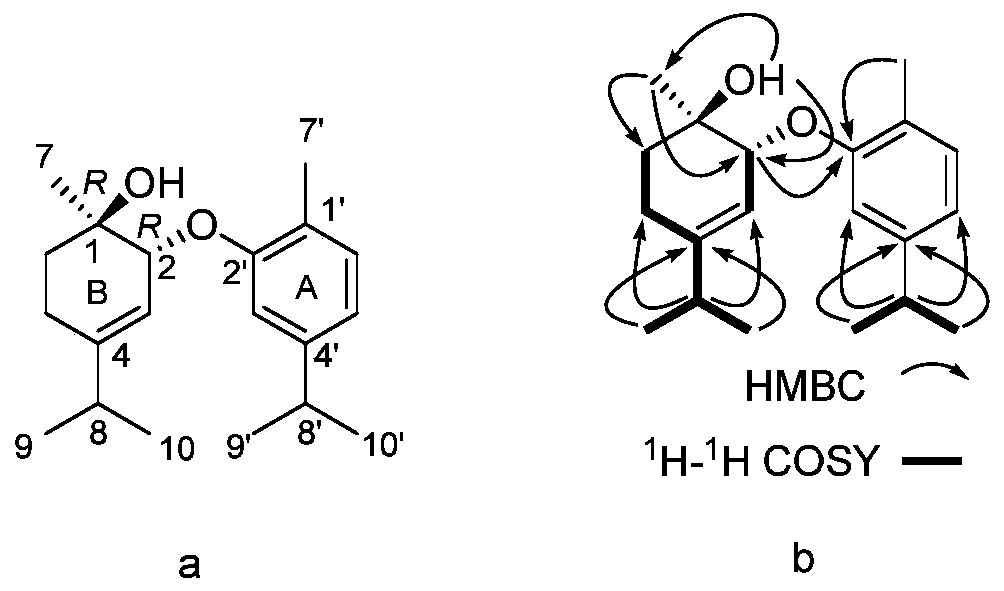 Hair musk ether and its composition, preparation method and use