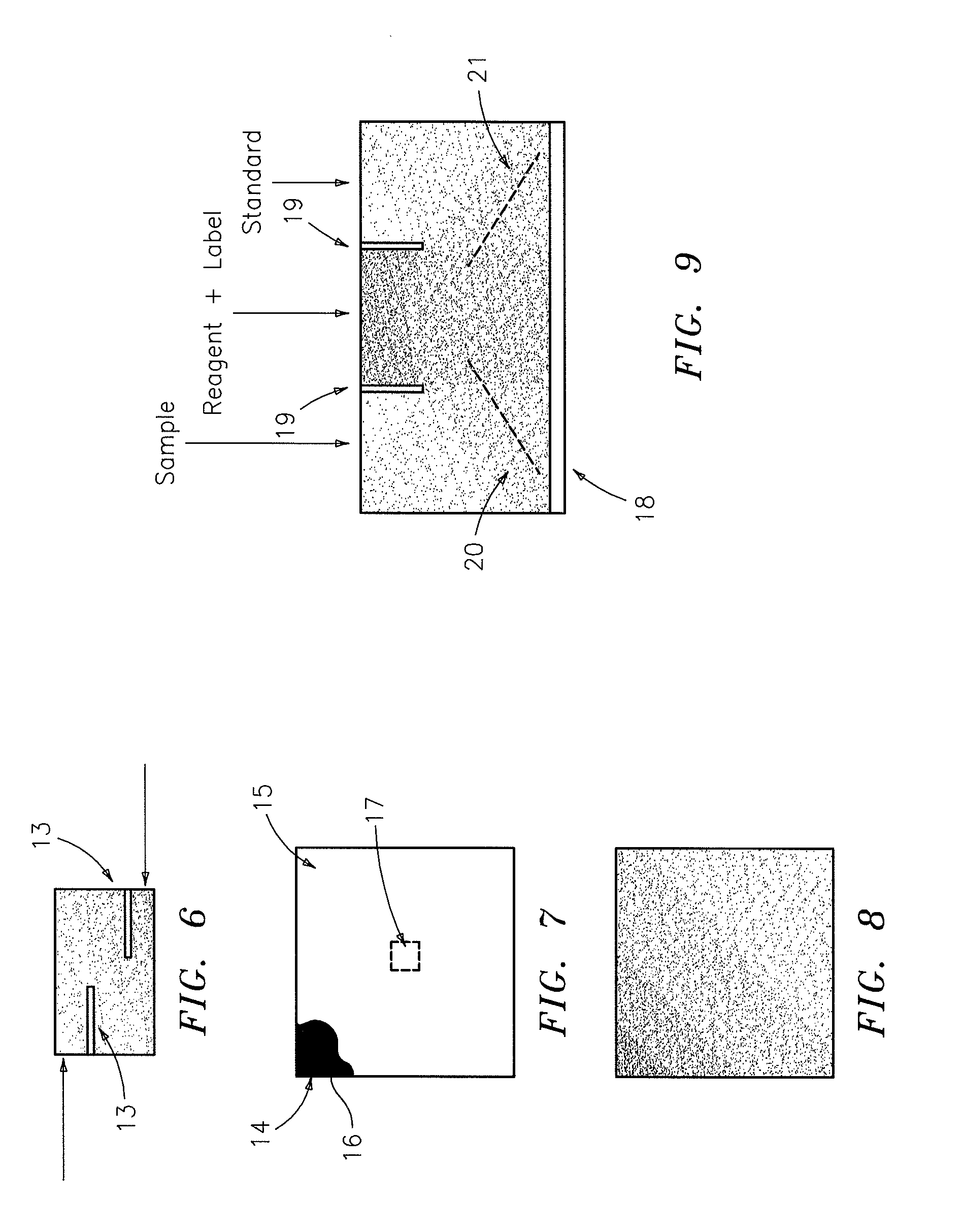 Self-calibrating gradient dilution in a constituent assay and gradient dilution apparatus performed in a thin film sample