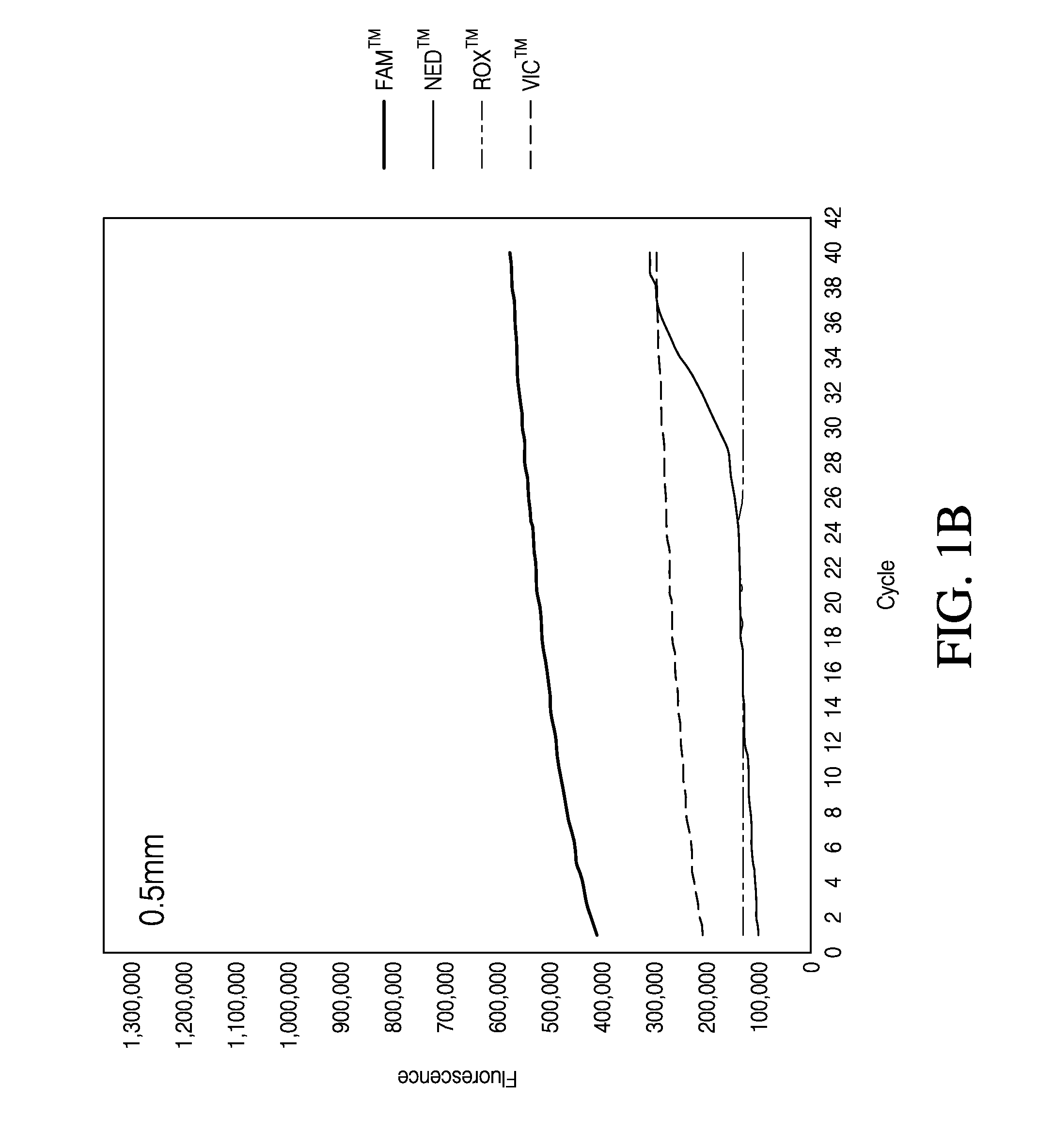 Direct Quantitative PCR Absent Minor Groove Binders