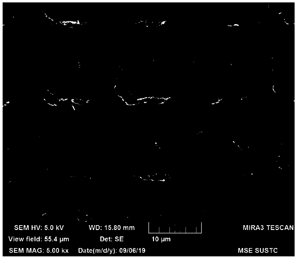 Preparation method for PEEK with topological pattern on surface