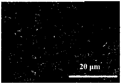 Preparation method of graphene-based compact composite material