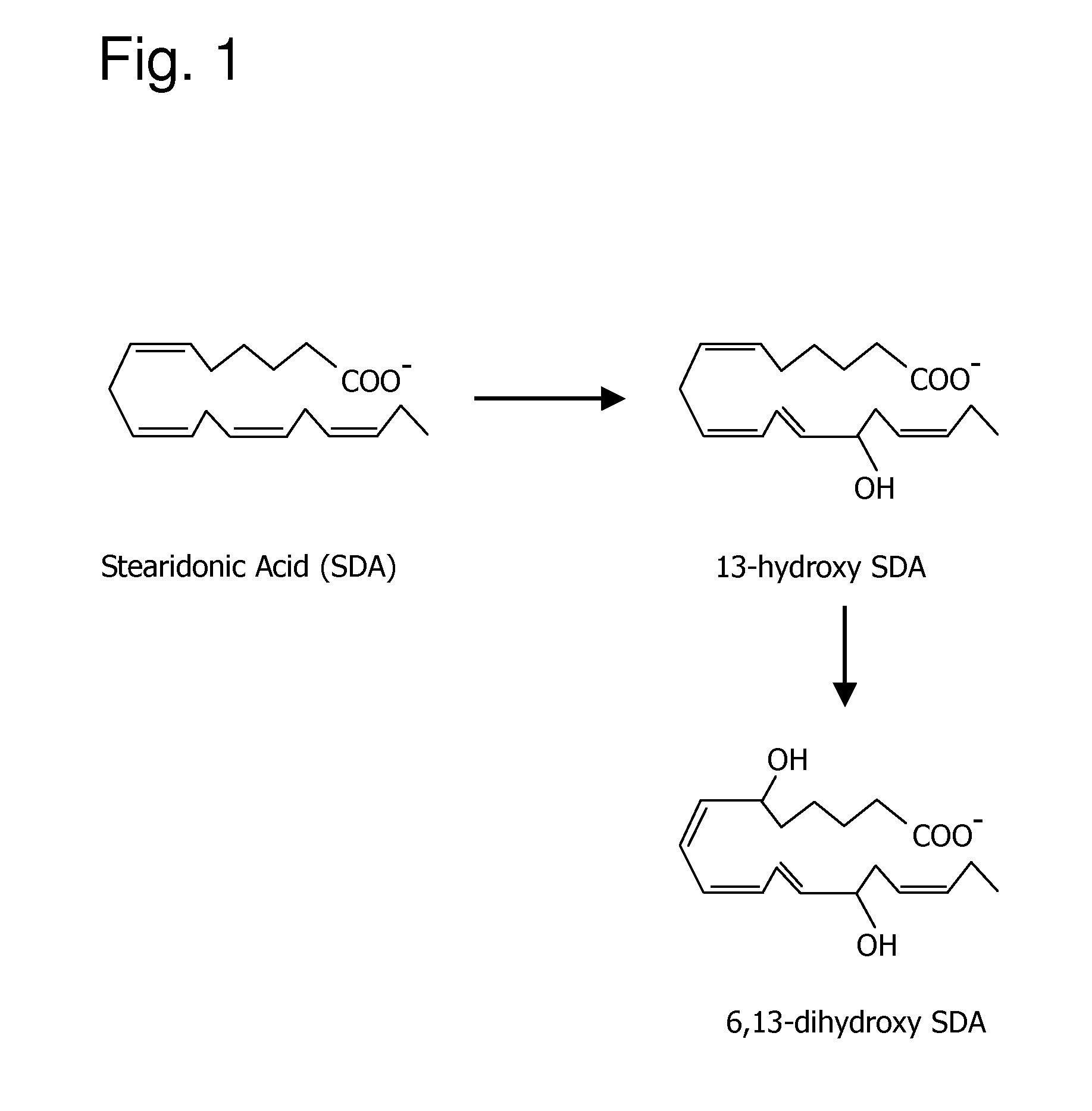 Oxylipins from stearidonic acid and gamma-linolenic acid and methods of making and using the same