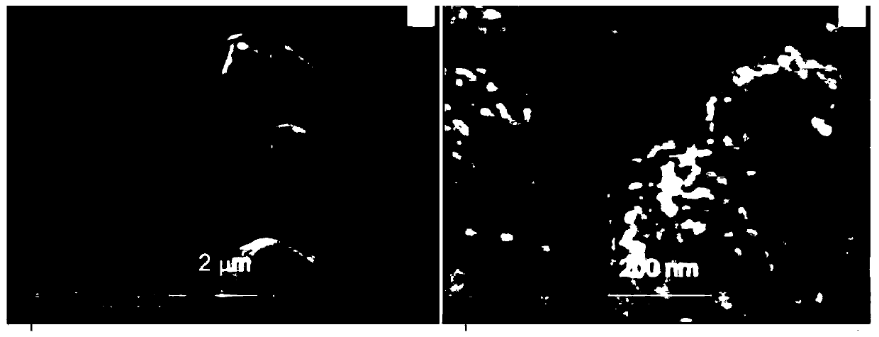 a co  <sub>3</sub> o  <sub>4</sub> Nanoparticle particle size detection method