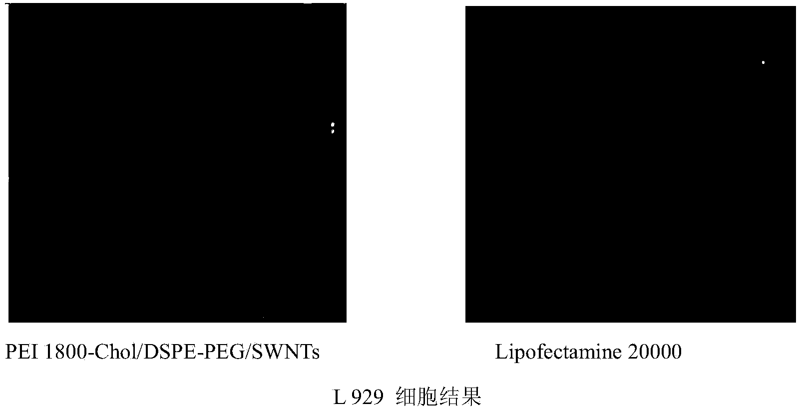 Carbon nano tube complex gene vector system and preparation method thereof