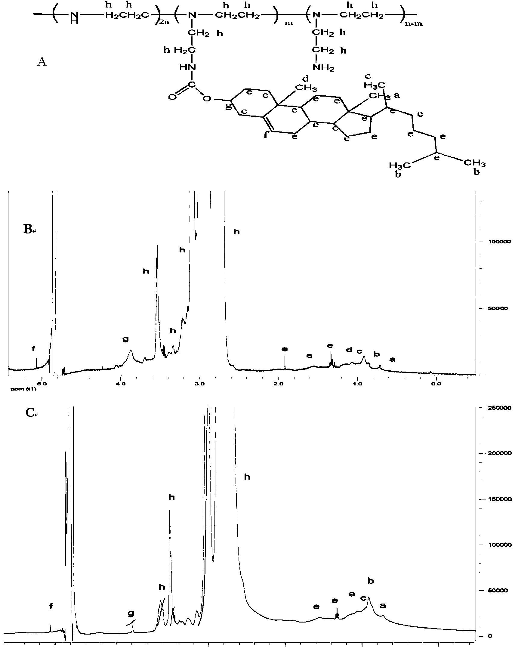 Carbon nano tube complex gene vector system and preparation method thereof