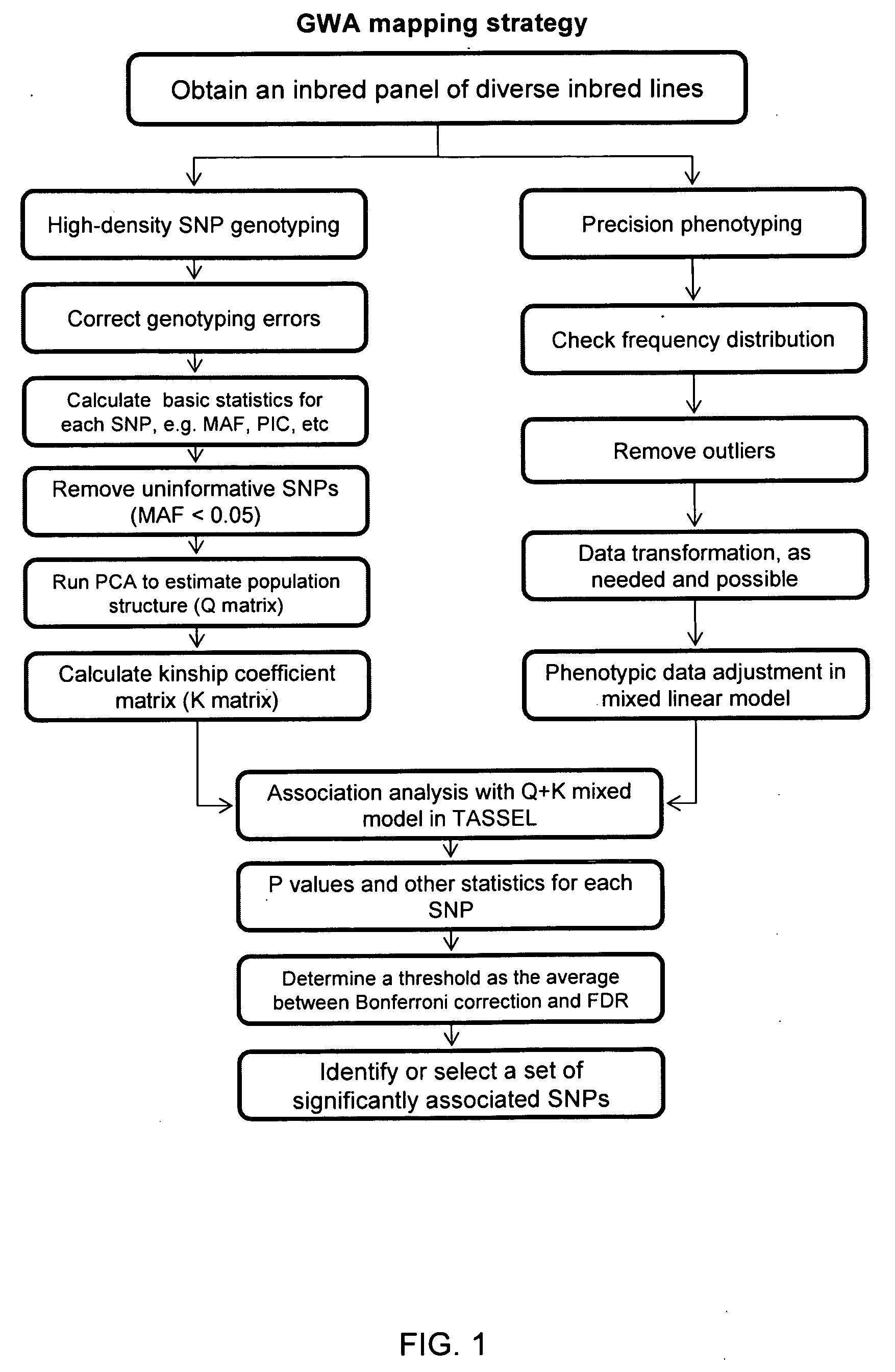 Method for selecting statistically validated candidate genes