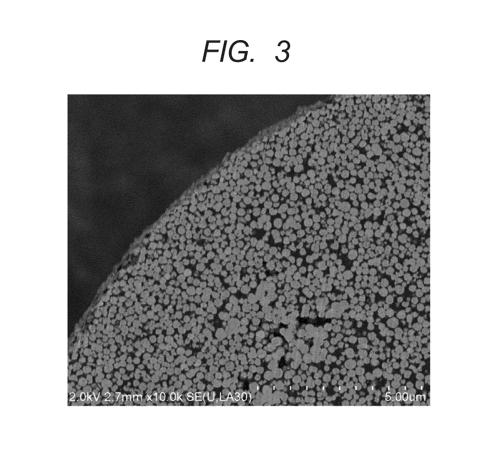 Magnetic carrier and two-component developer