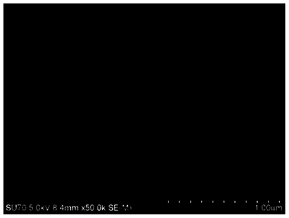 Preparation method of triiron tetroxide / titanium dioxide / silver core shell nano-material and recyclable immunoassay application thereof