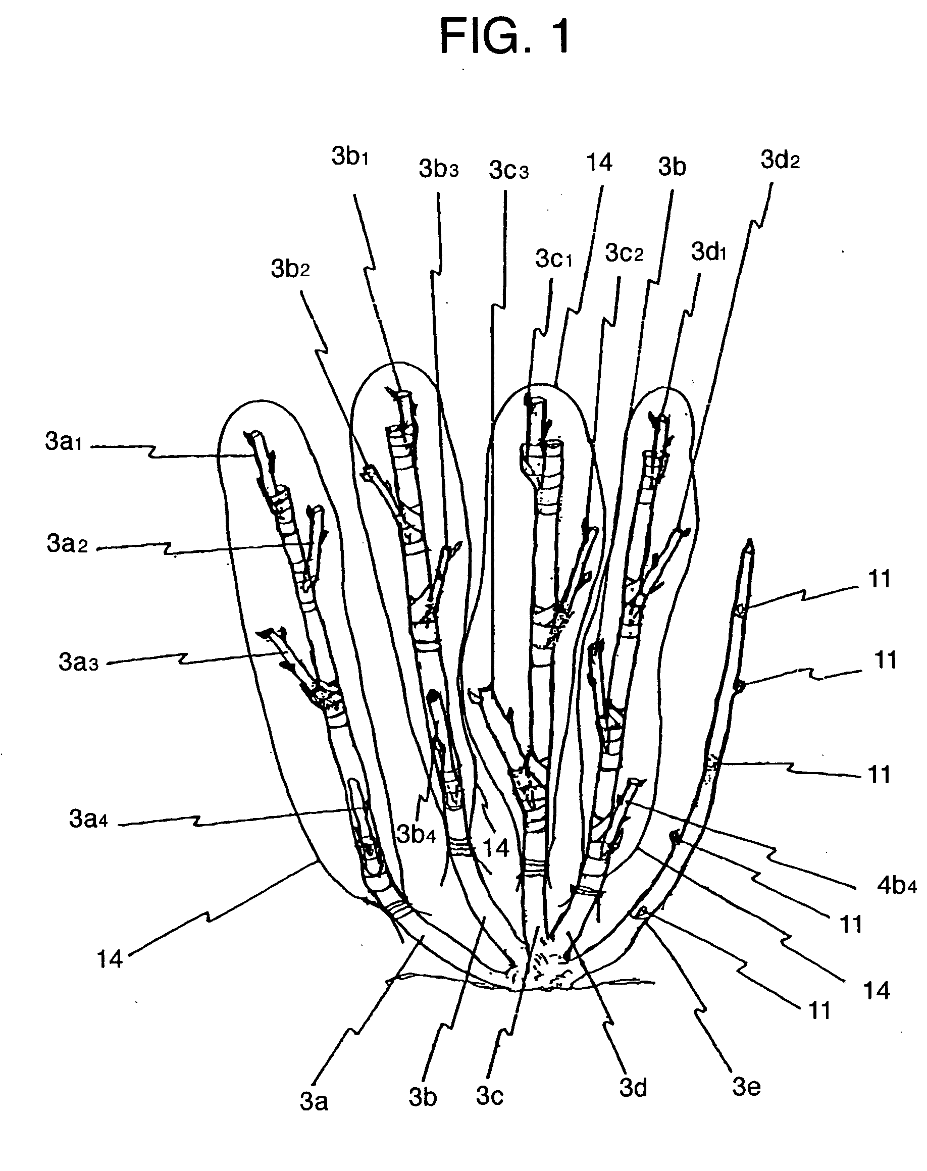 Method of producing rose saplings capable of blooming many kinds of roses on each shoot and rose saplings thus produced