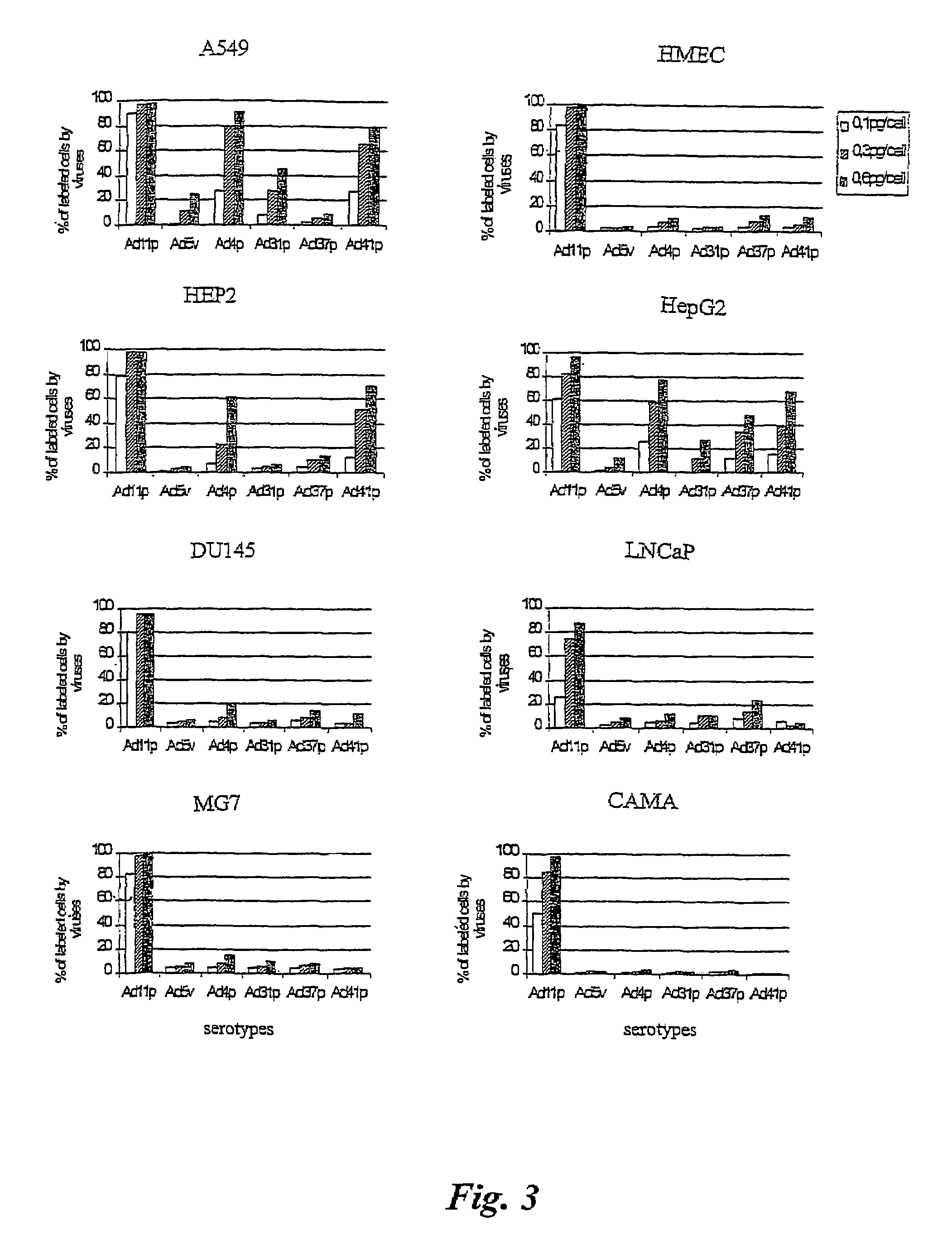 Viral vectors for gene therapy