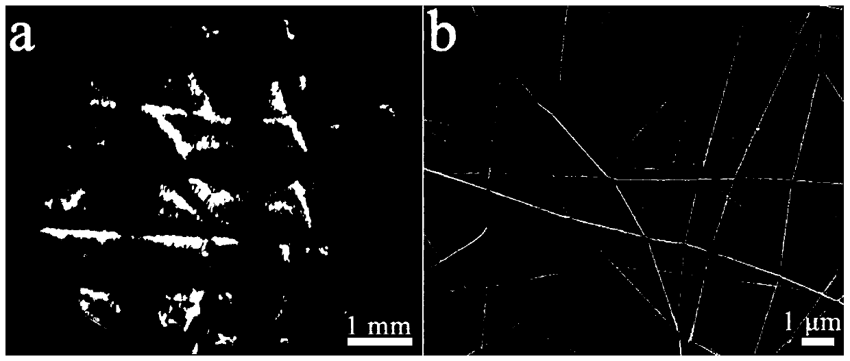 A kind of cs/pla oil-water separation nanofibrous membrane with controllable pores and preparation method thereof