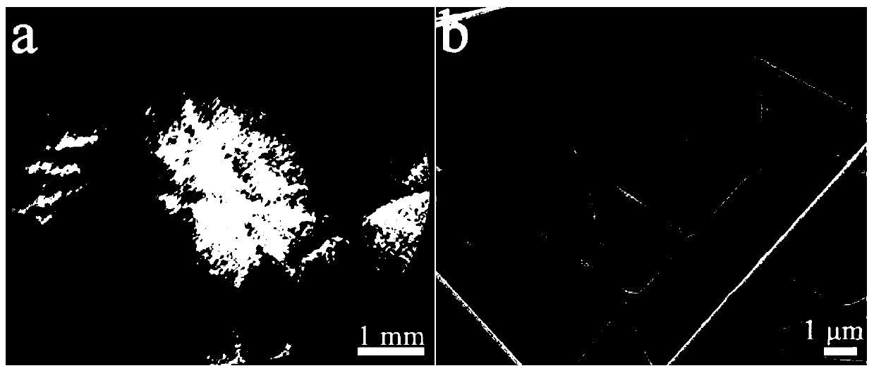 A kind of cs/pla oil-water separation nanofibrous membrane with controllable pores and preparation method thereof