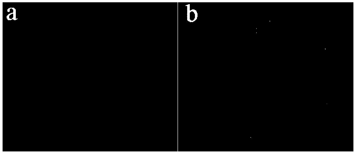 A kind of cs/pla oil-water separation nanofibrous membrane with controllable pores and preparation method thereof