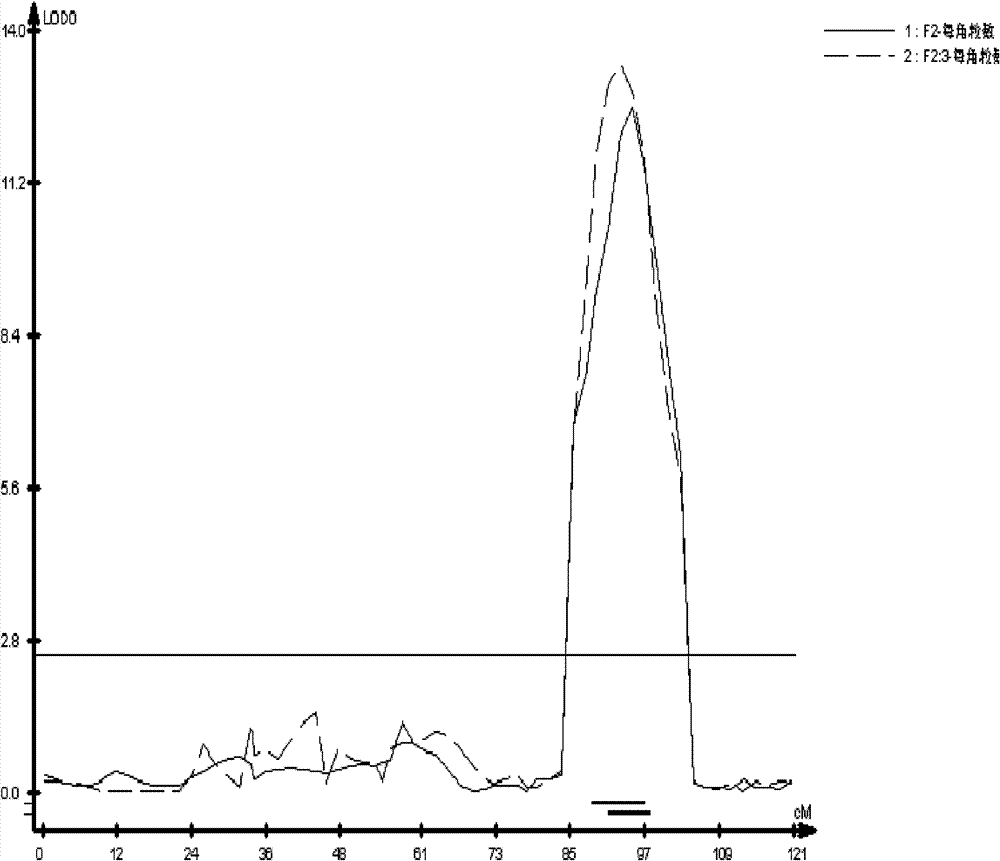 Seed number per pod character major gene site of rape and application thereof